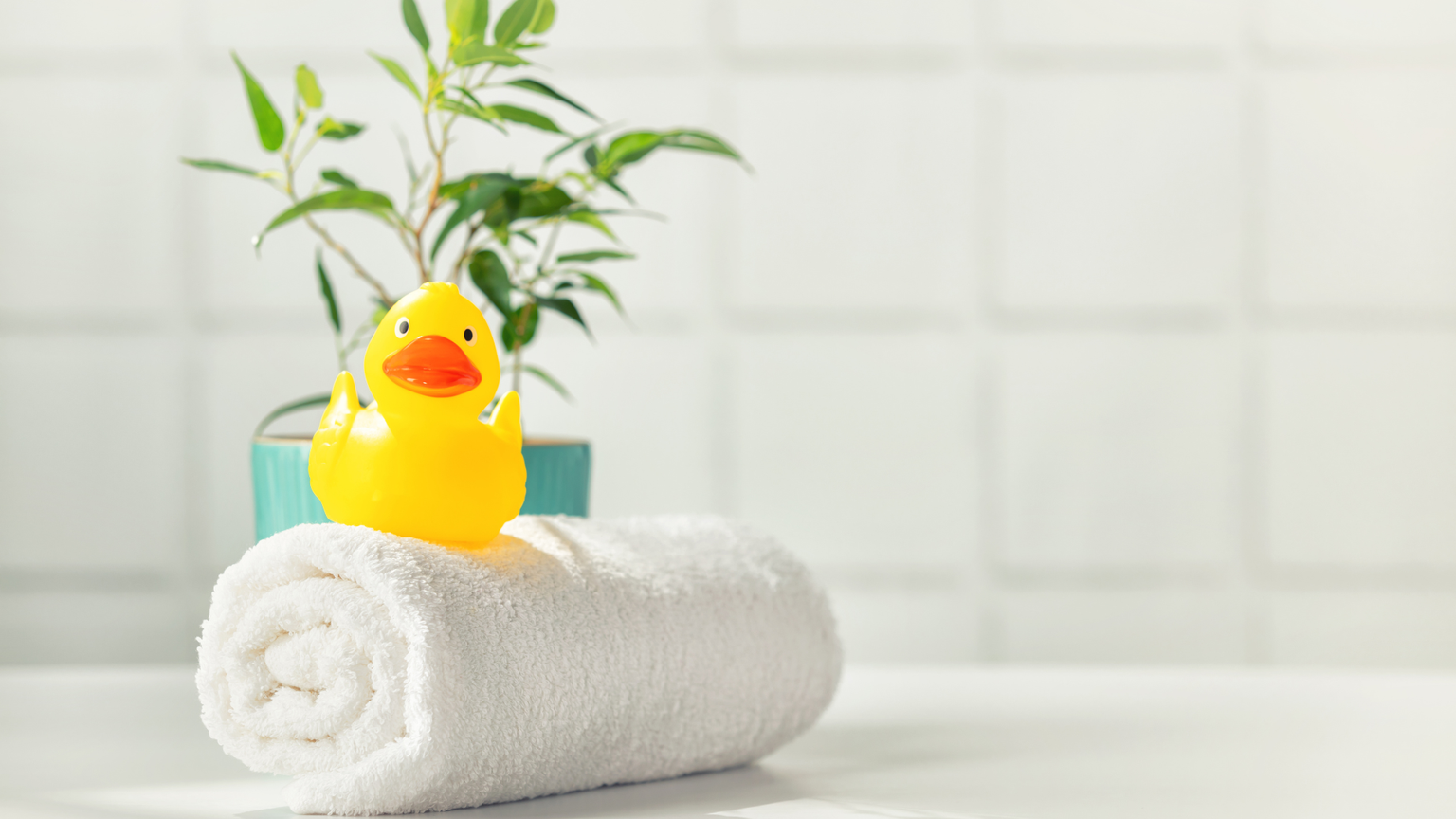 Personal Bathing Aids in Hampshire for Sale at Solent Mobility Centre in Lee-on-the-Solent