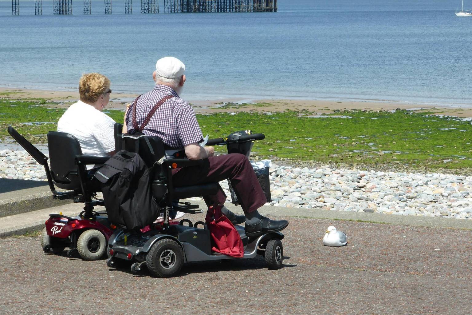 Two people on mobility scooters, sitting near a rocky beach, gaze at the sea with a seagull nearby.