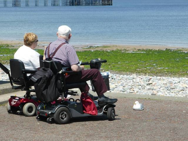 Two people on mobility scooters, sitting near a rocky beach, gaze at the sea with a seagull nearby.