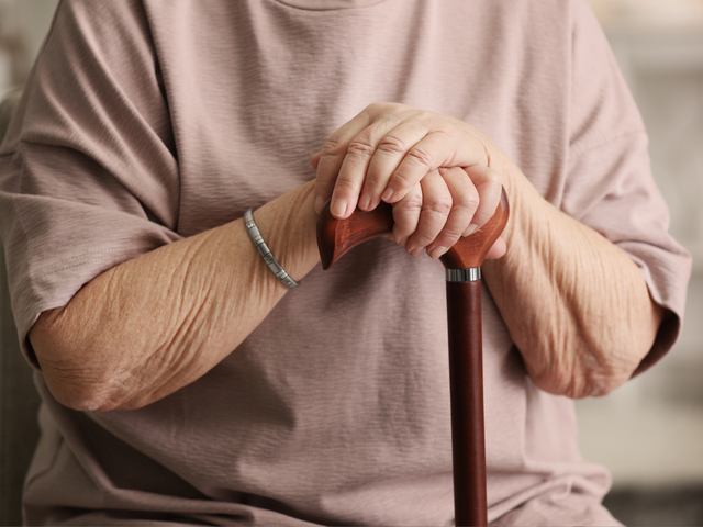 Walking Sticks in Hampshire for Sale at Solent Mobility Centre in Lee-on-the-Solent