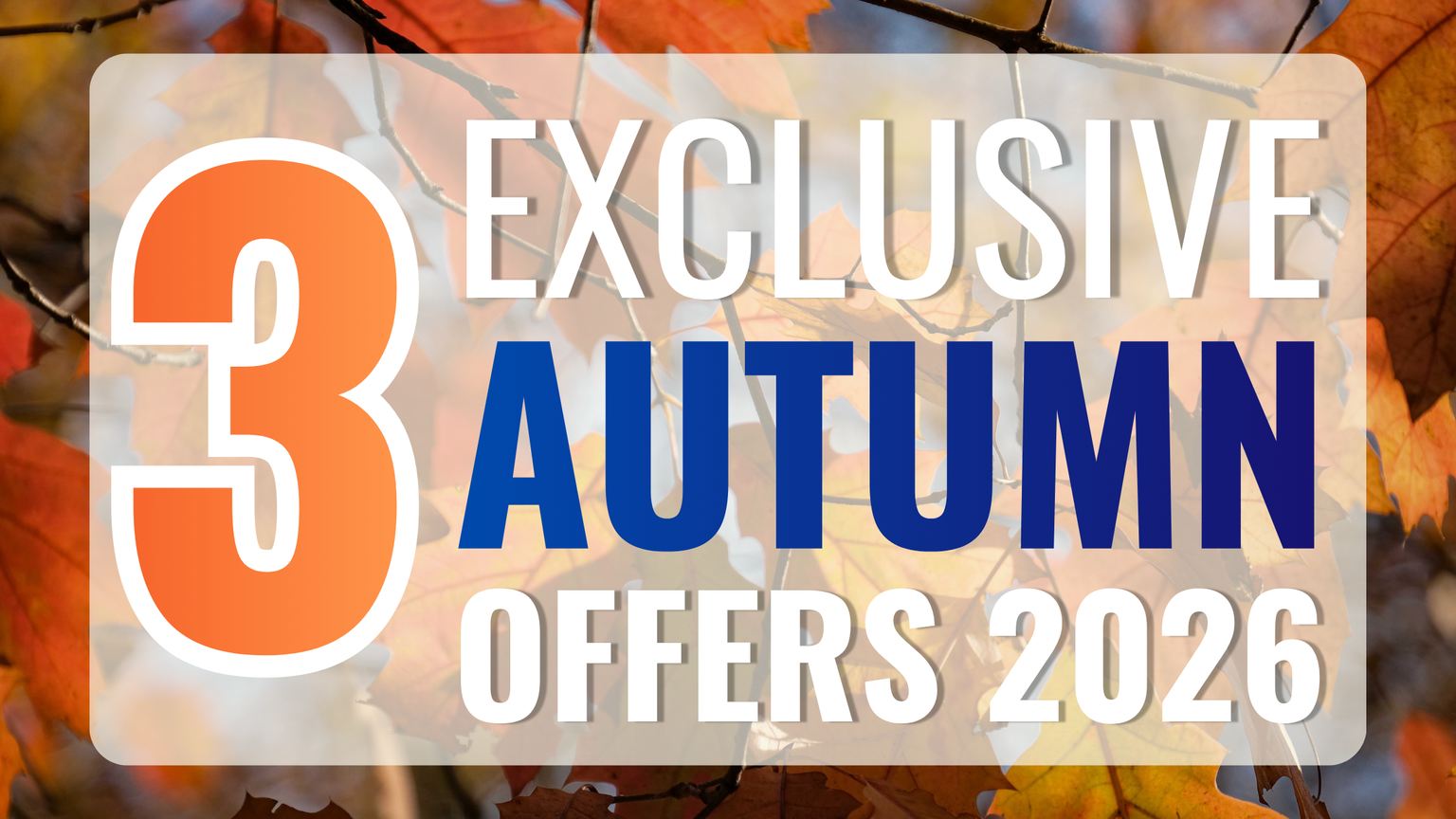Autumn Offers Banner