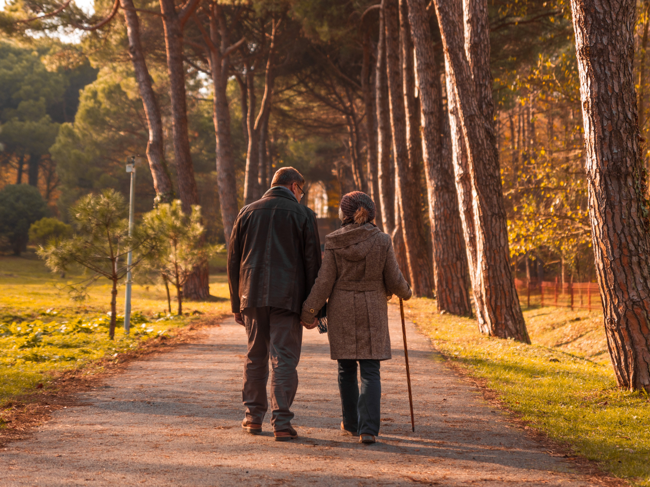Falls Prevention Banner