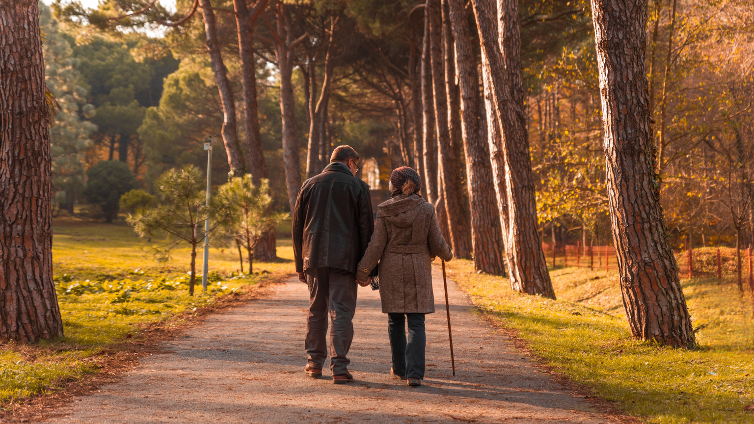 Falls Prevention Banner