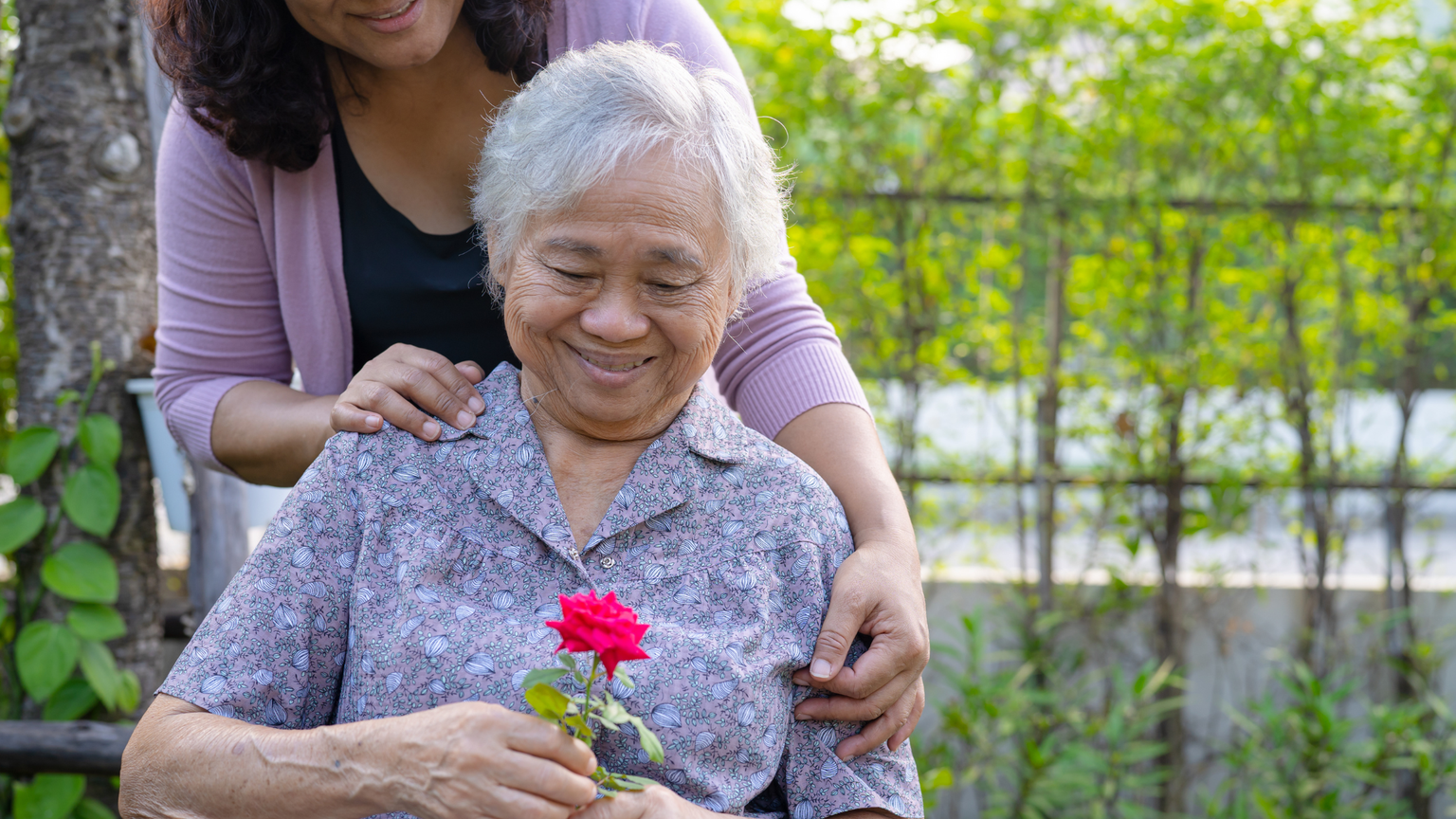 Dementia Banner