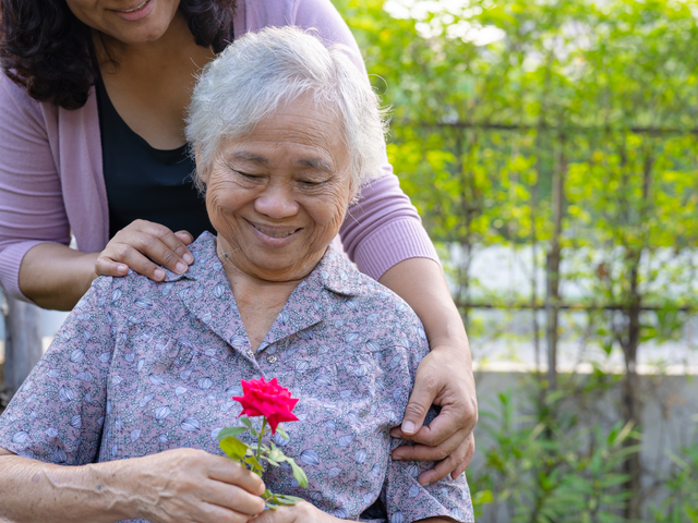 Dementia Banner