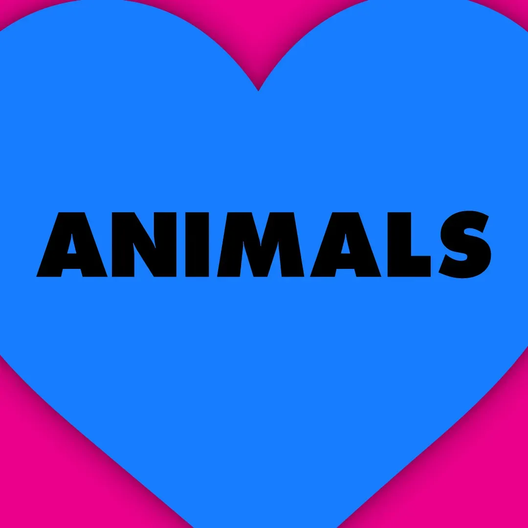 Animals