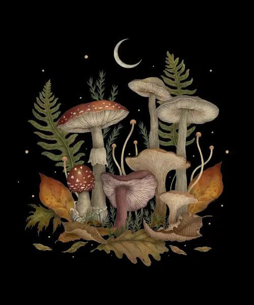 Botanical illustration of woodland mushrooms and ferns under a crescent moon with autumn leaves, art by Episodic