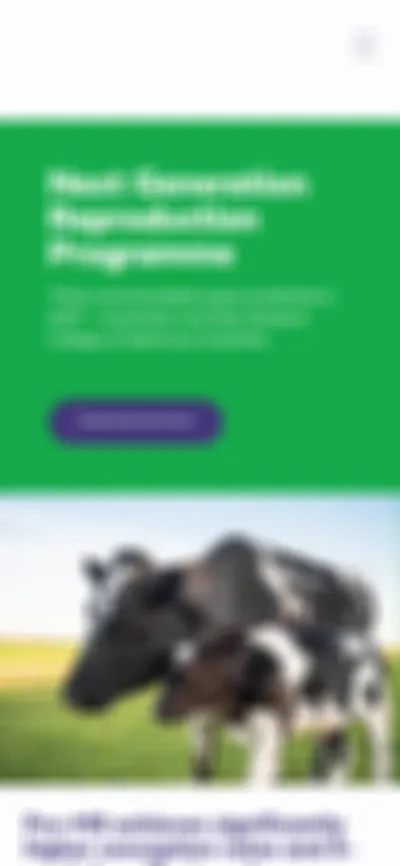 Freelancer Web Developer Auckland, NZ