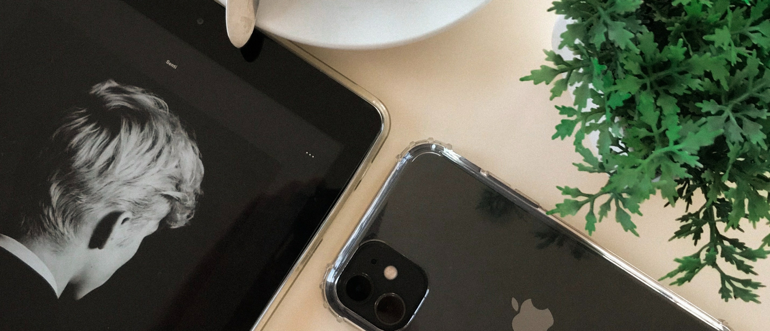 RDS 2022 (Device CAL en User CAL)