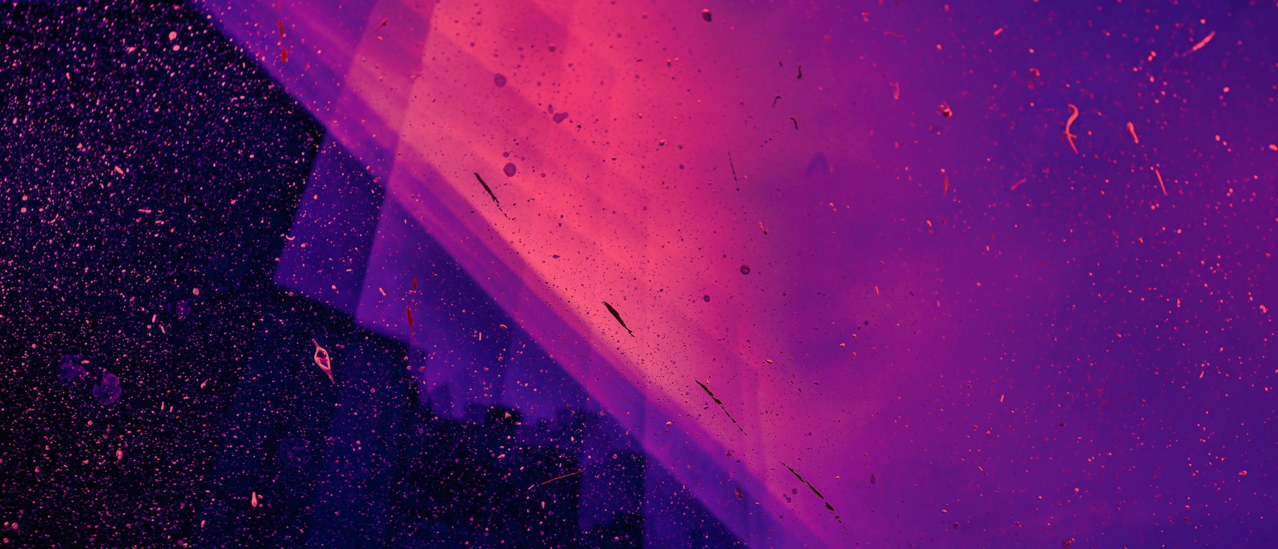 Linux of Windows Server? Het beste platform kiezen voor uw SQL Server implementatie