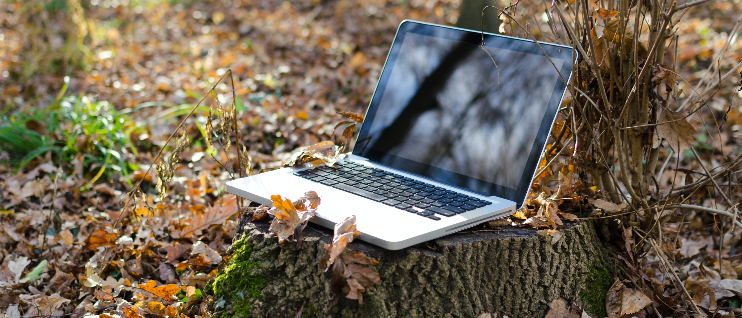 Alles wat u moet weten over Microsoft SQL Server 2019