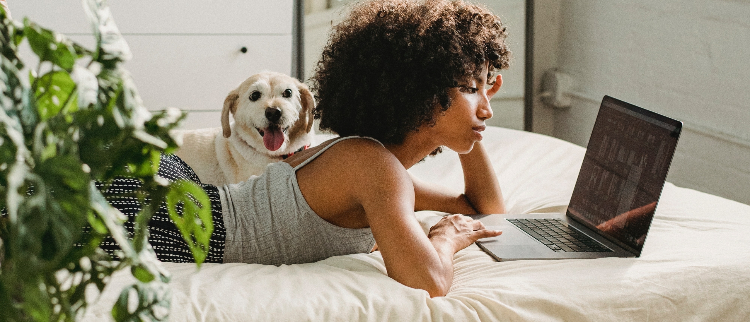 Wat is het verschil tussen Retail en Volume licenties voor Windows Server?