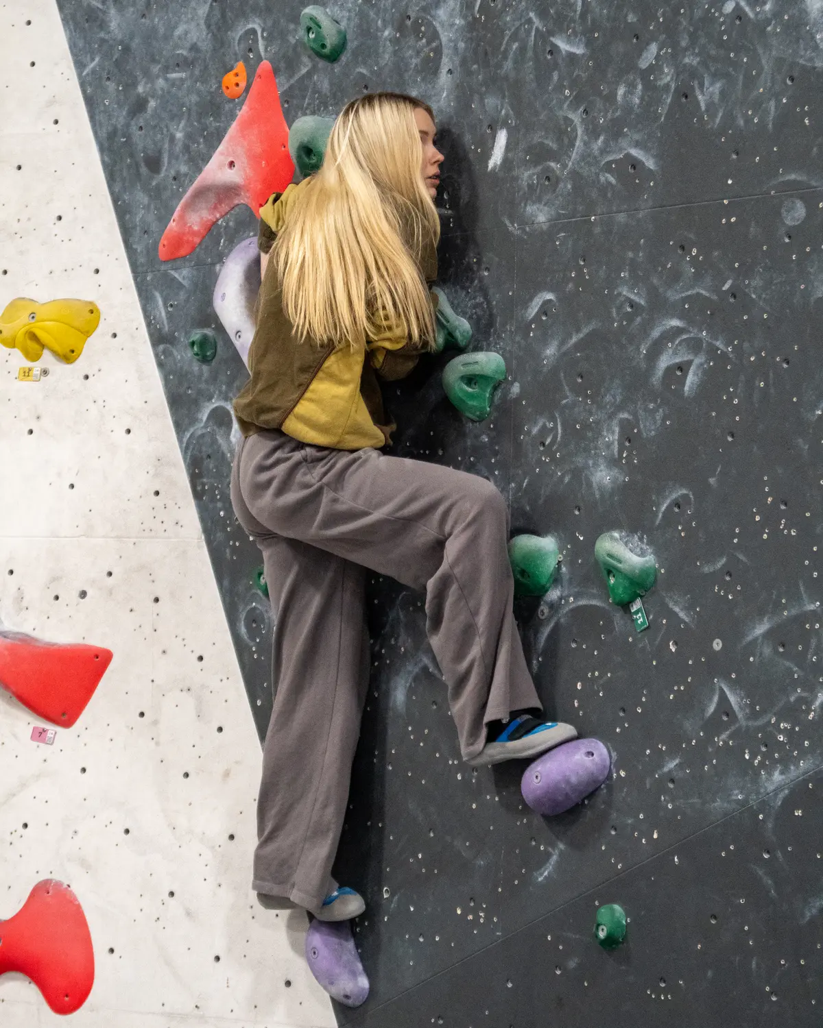 NICAS Climber