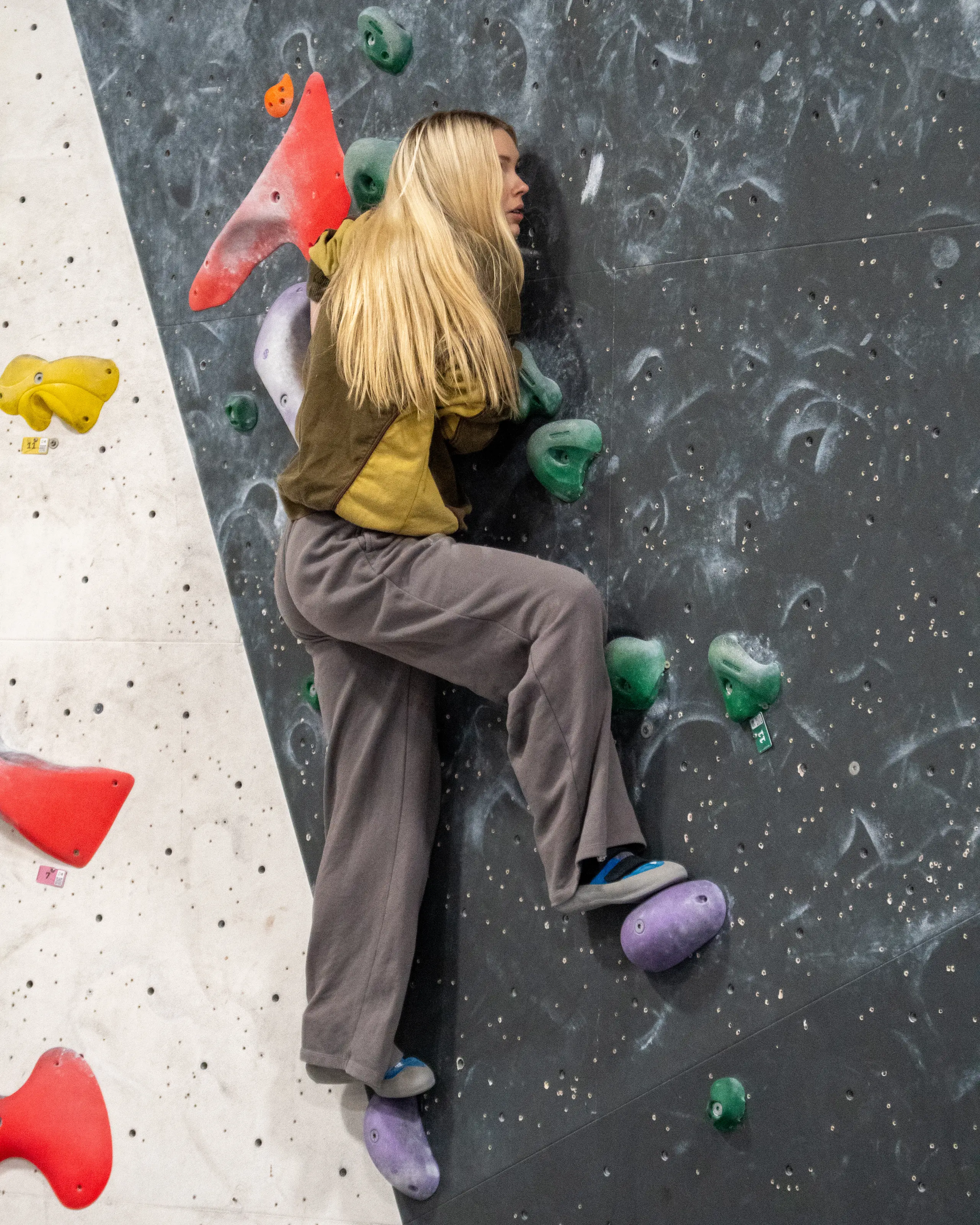 NICAS Climber