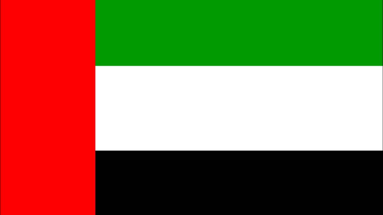 Dubai flag