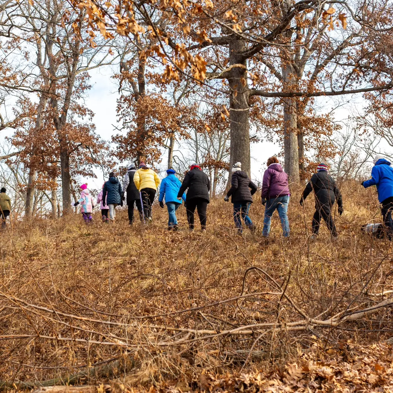 People hiking in Bever Park