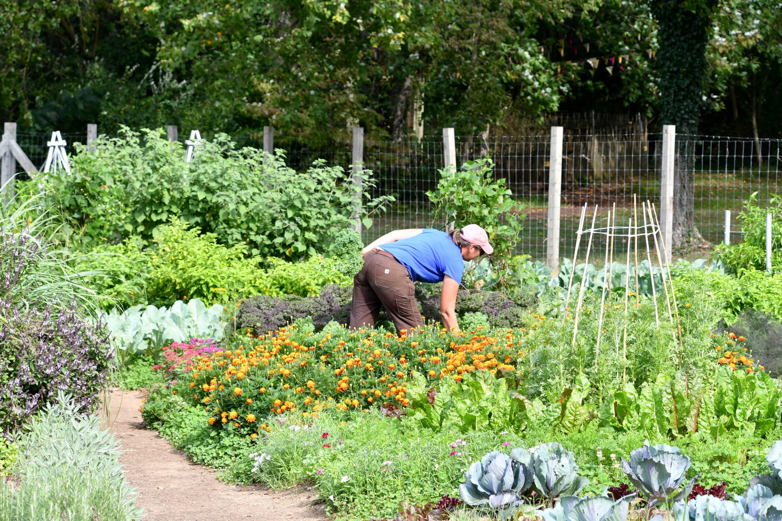 Person working in a community garden