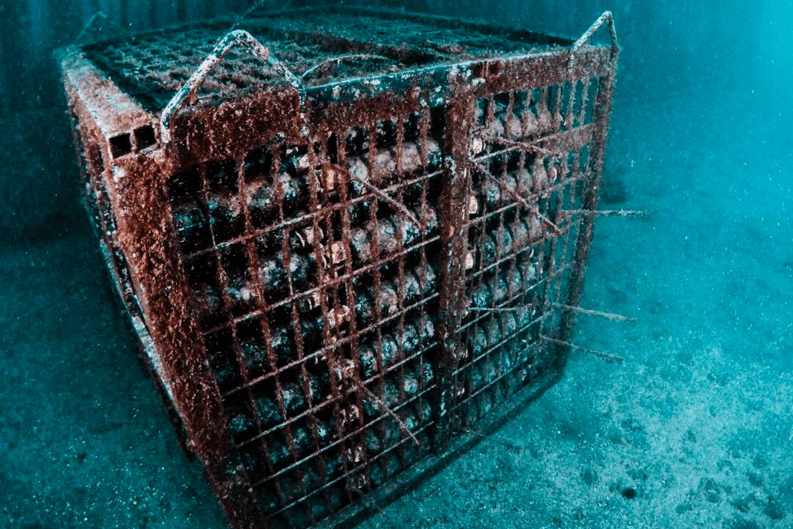 Cantina subacquea di affinamento, UnderWaterWine e nuovi trend
