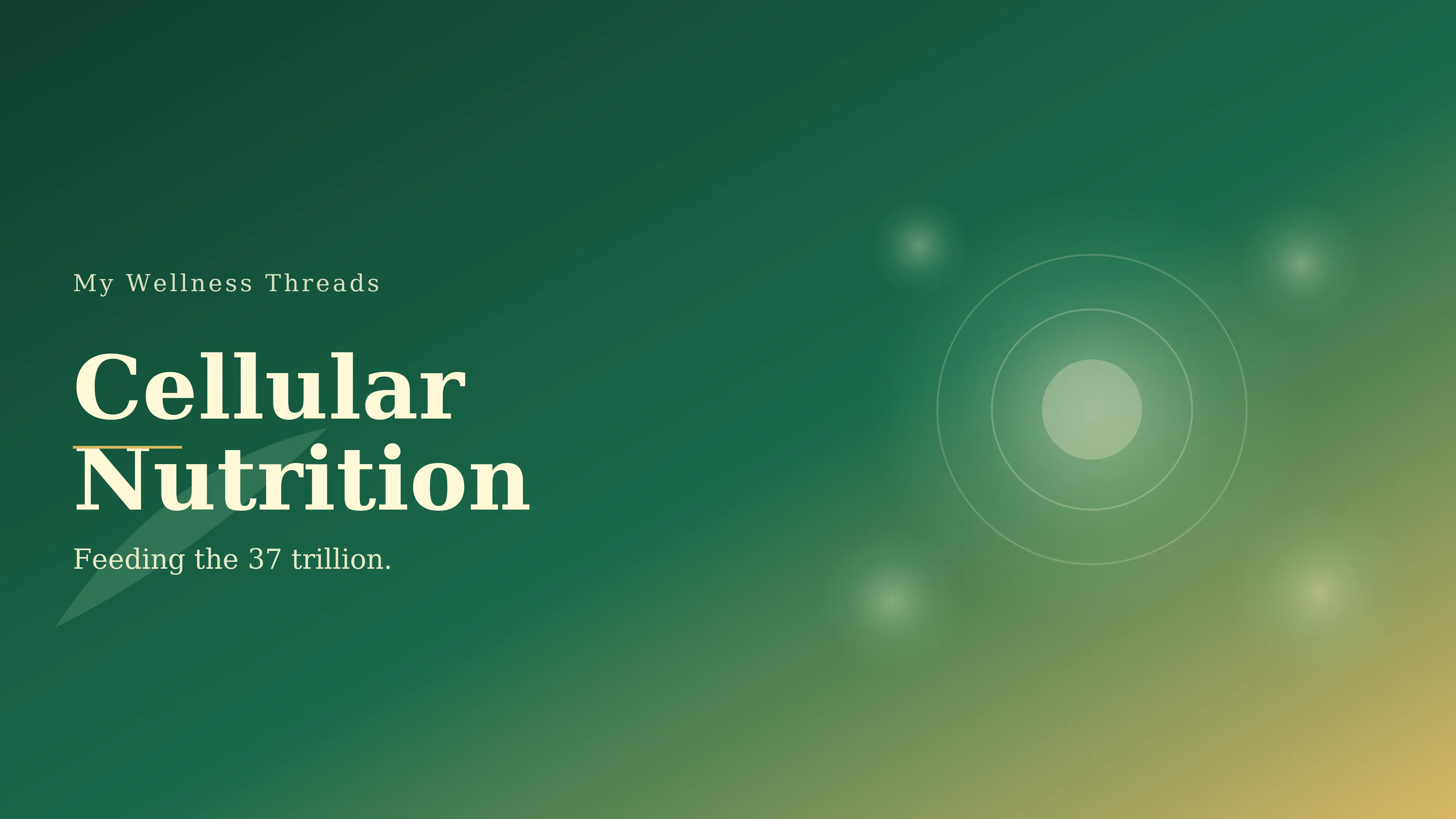 Cellular Nutrition: Feeding the 37 Trillion