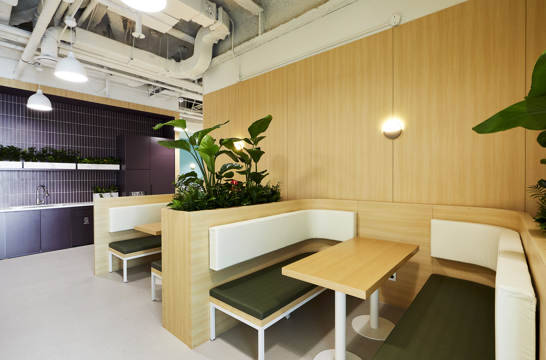 Bayer Korea 3