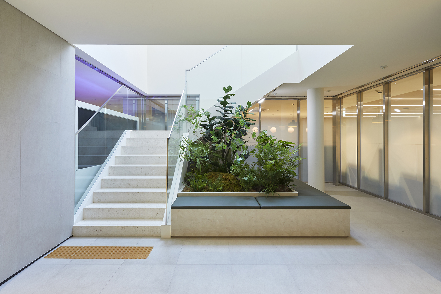 Dongkook Pharmaceutical 3