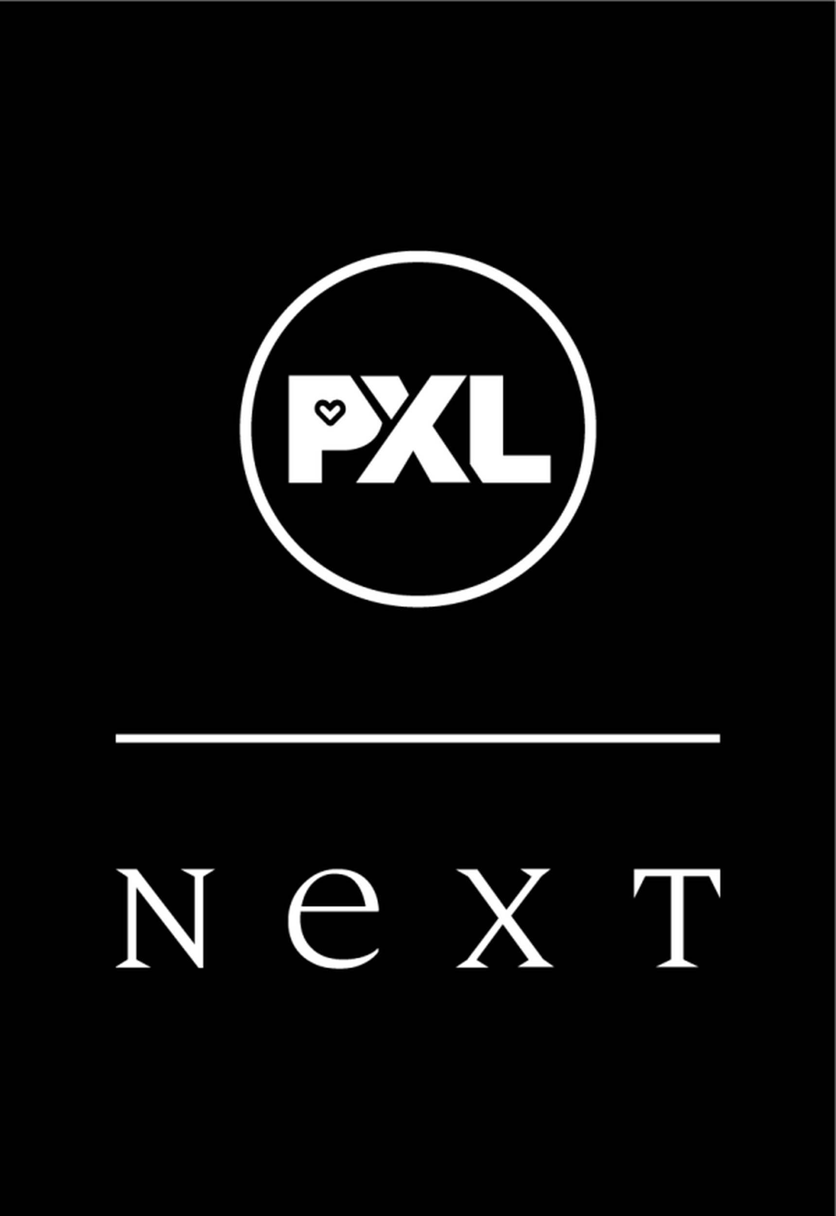 https://a.storyblok.com/f/291811237675333/600x872/c6441f1767/pxl-next_logo-600x872.png