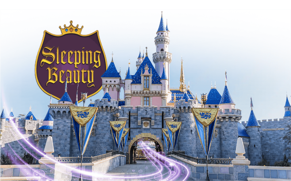 disney sleeping beauty castle exhibit design
