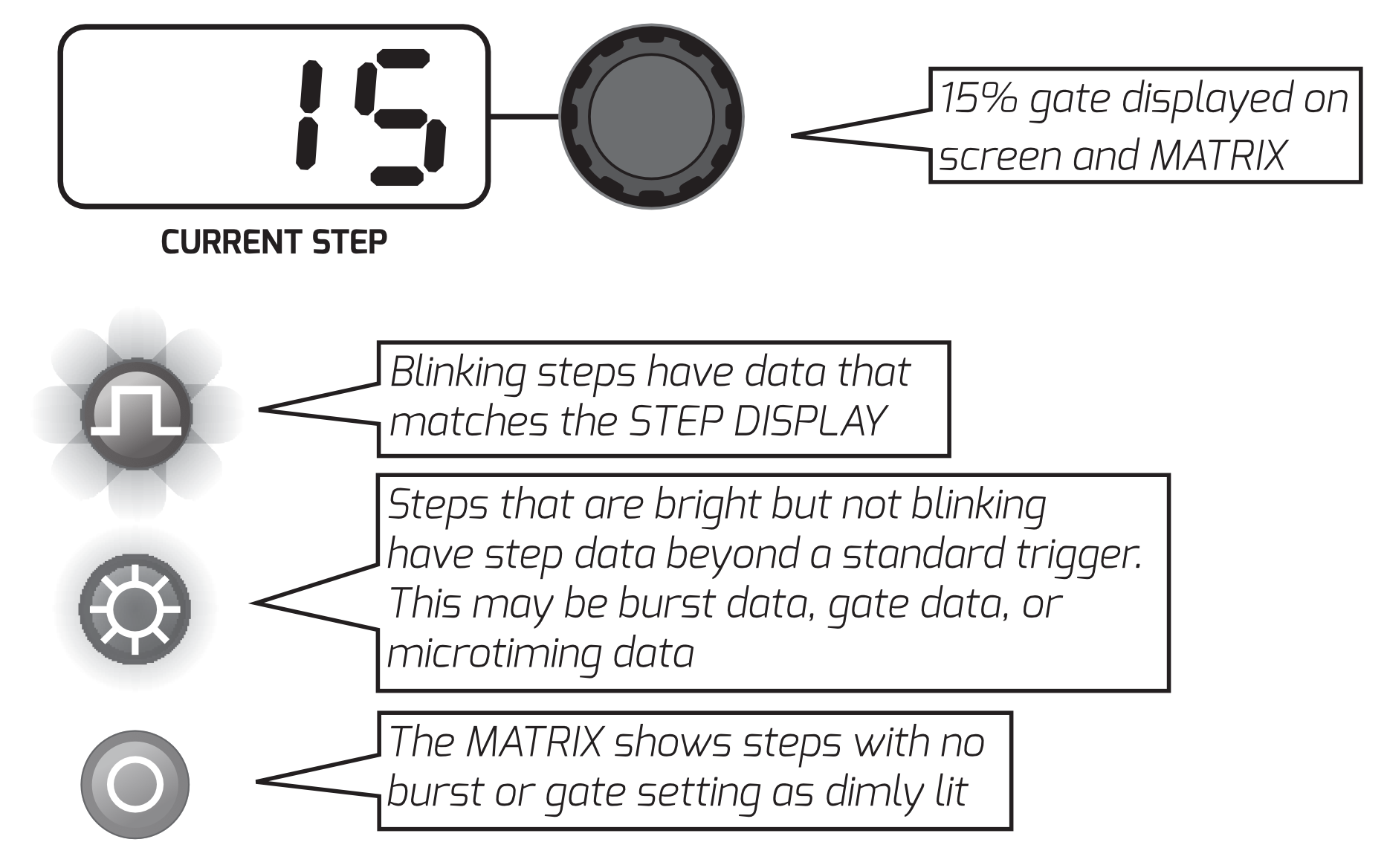 Burst and Gate mode displays