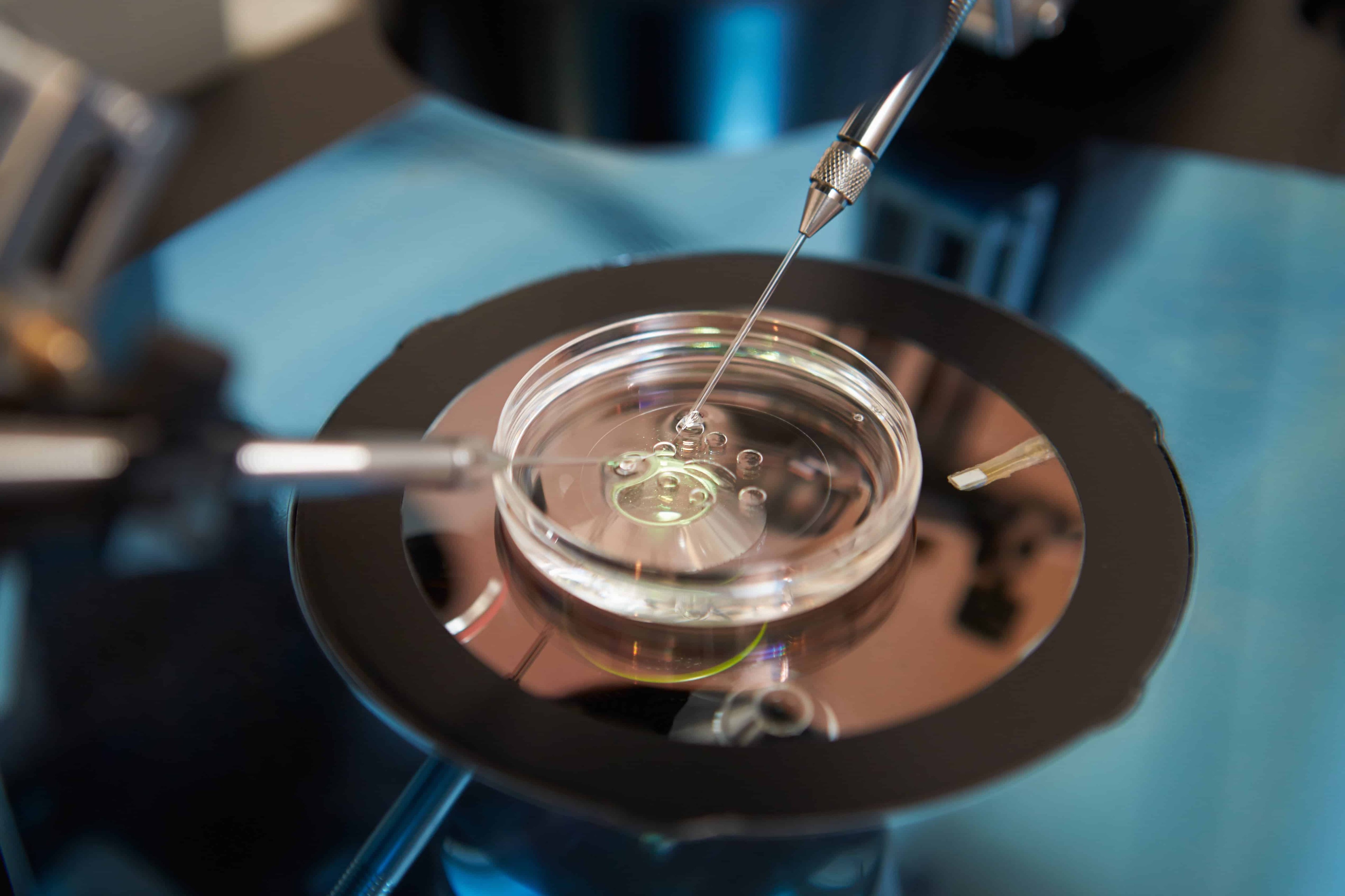 What is IVF? A simple guide to In Vitro Fertilisation