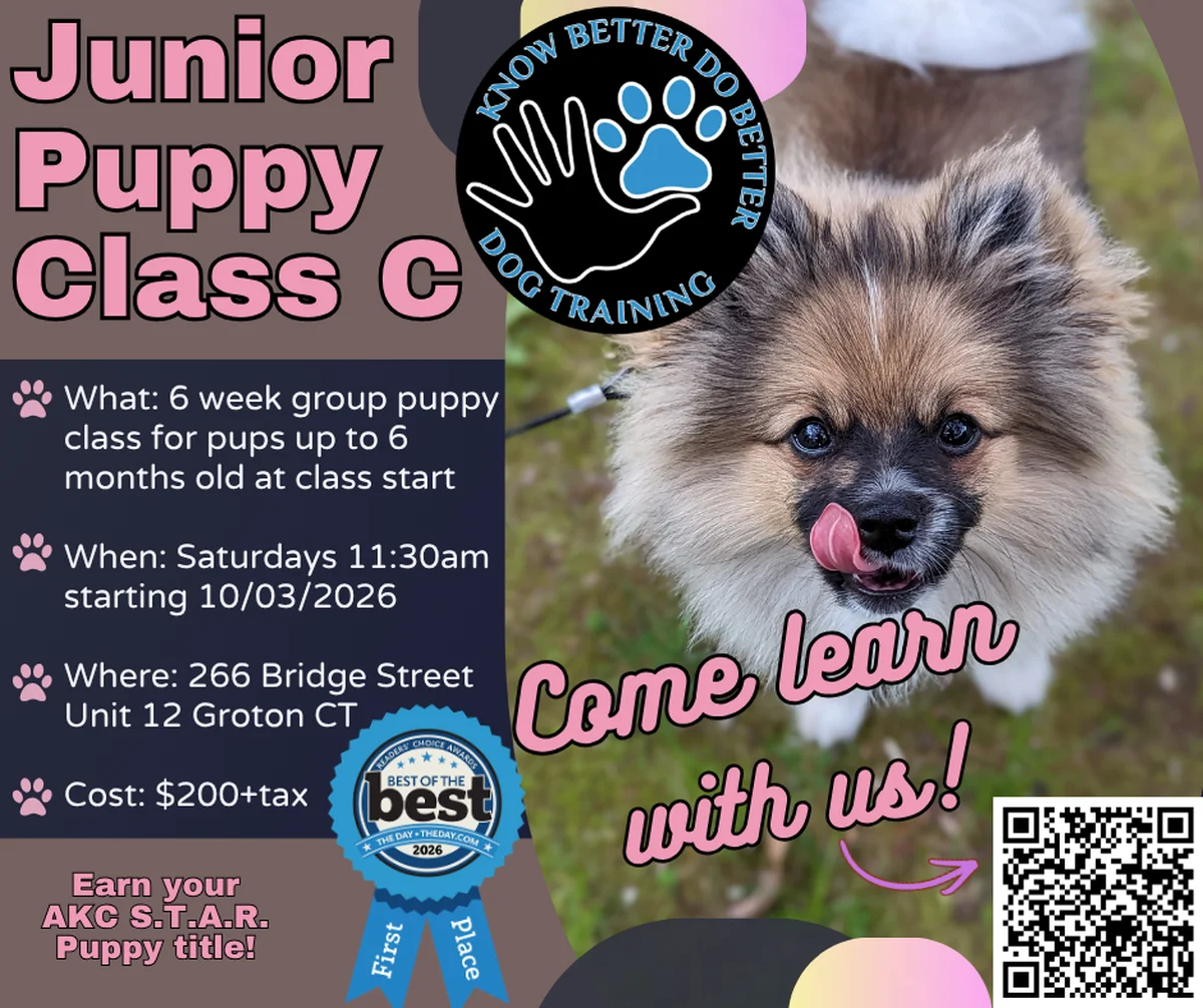 Junior Puppy Class C Class Flyer