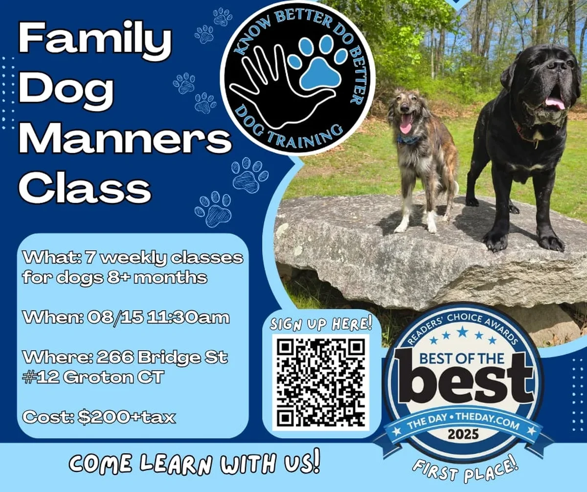 Family Dog Manners Class Class Flyer