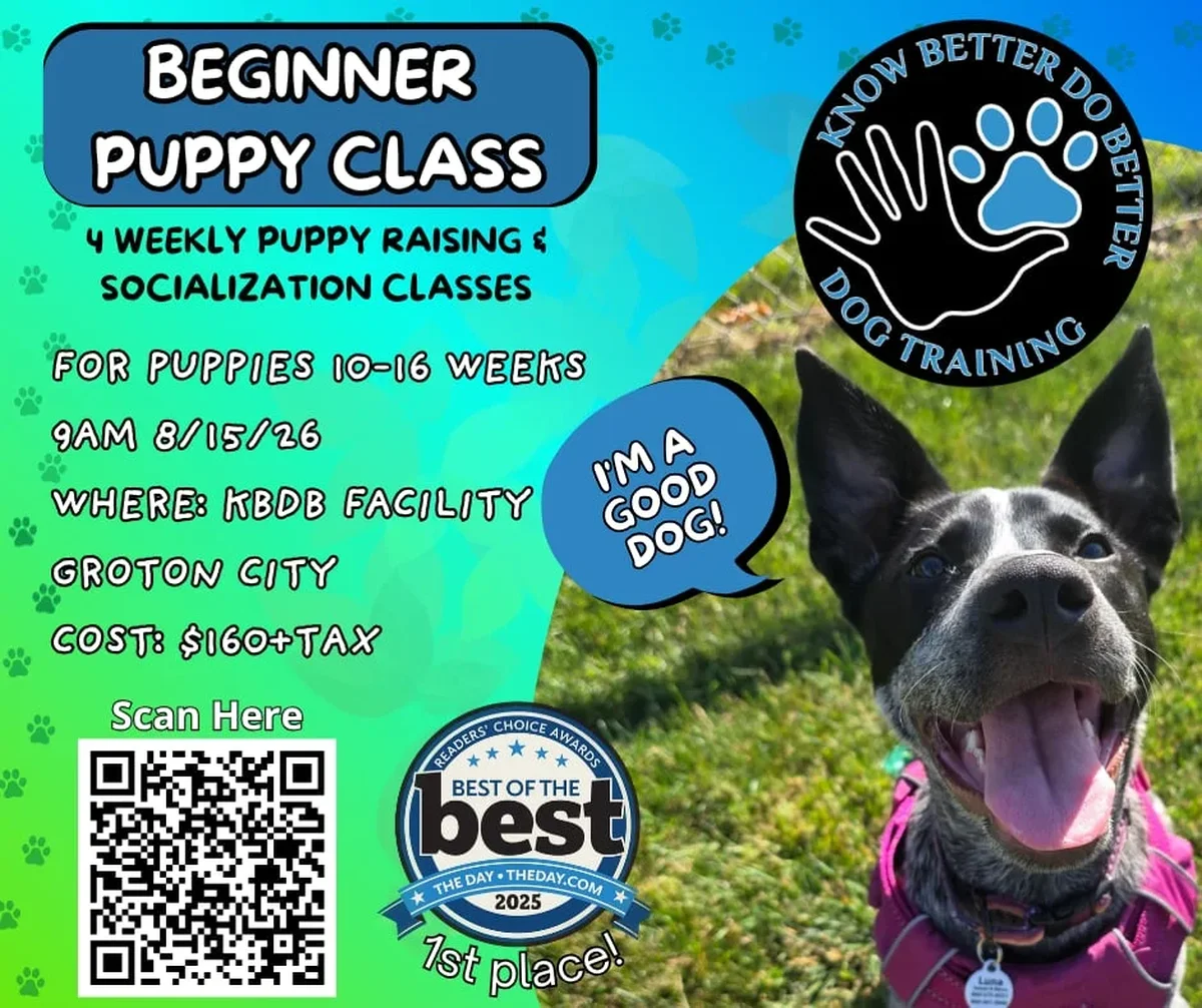Beginner Puppy Class Class Flyer