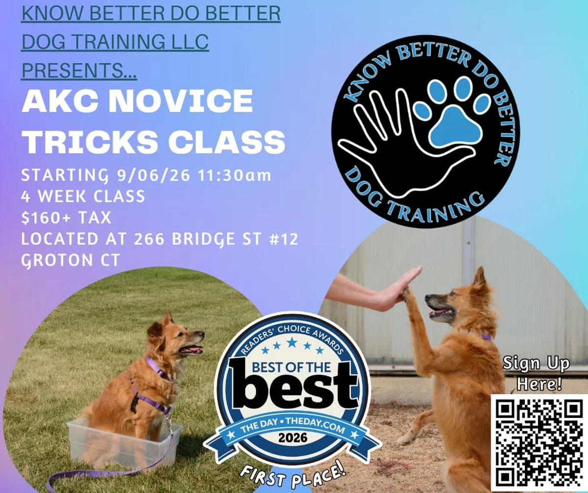 AKC Novice Tricks Class Class Flyer