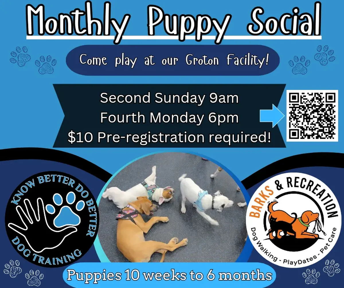 Monthly Puppy Social flyer