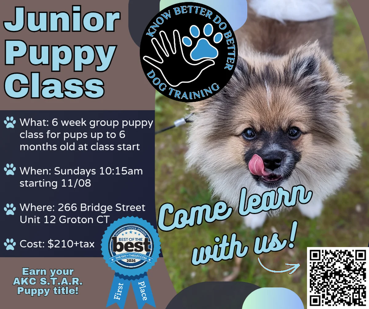Junior Puppy Class Class Flyer