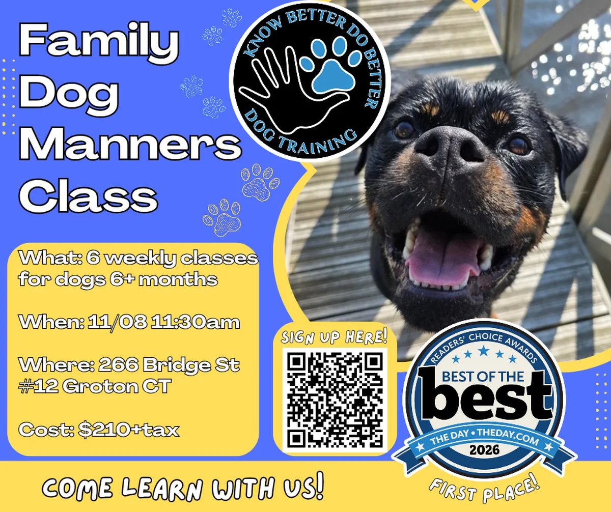 Family Dog Manners Class Class Flyer