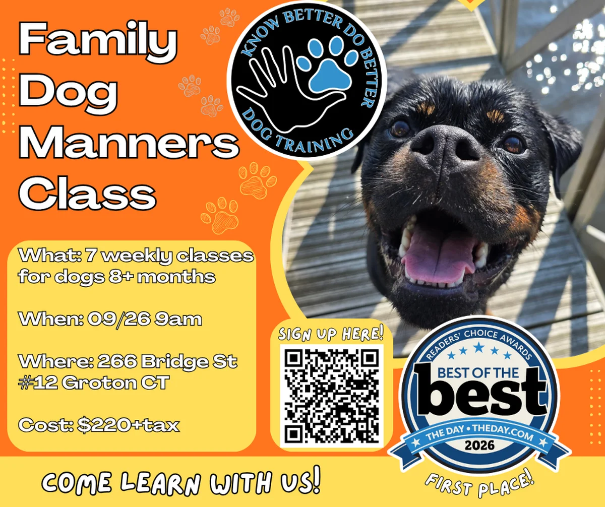 Family Dog Manners Class Class Flyer