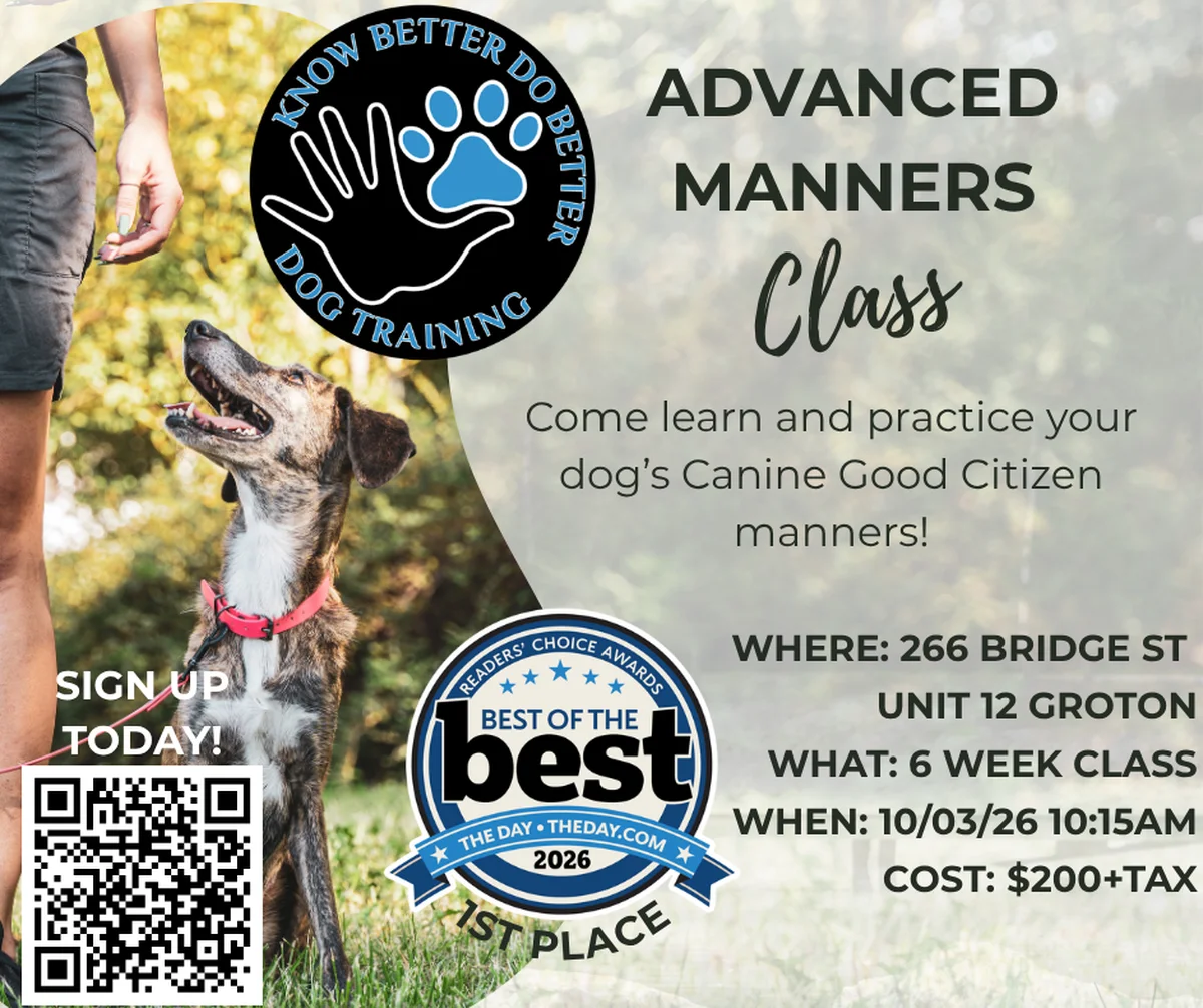 Advanced Manners Class Class Flyer