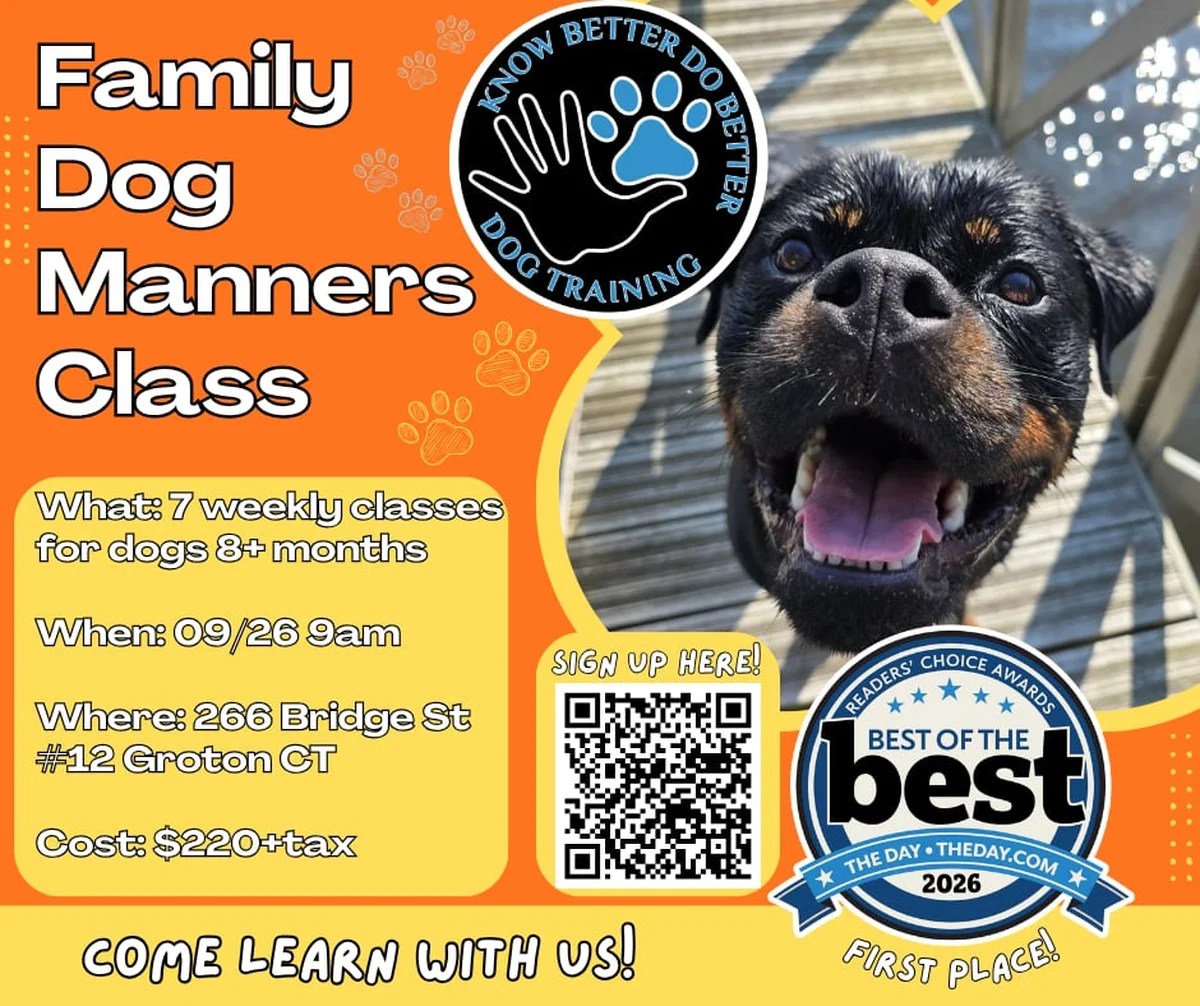 Family Dog Manners Class Class Flyer