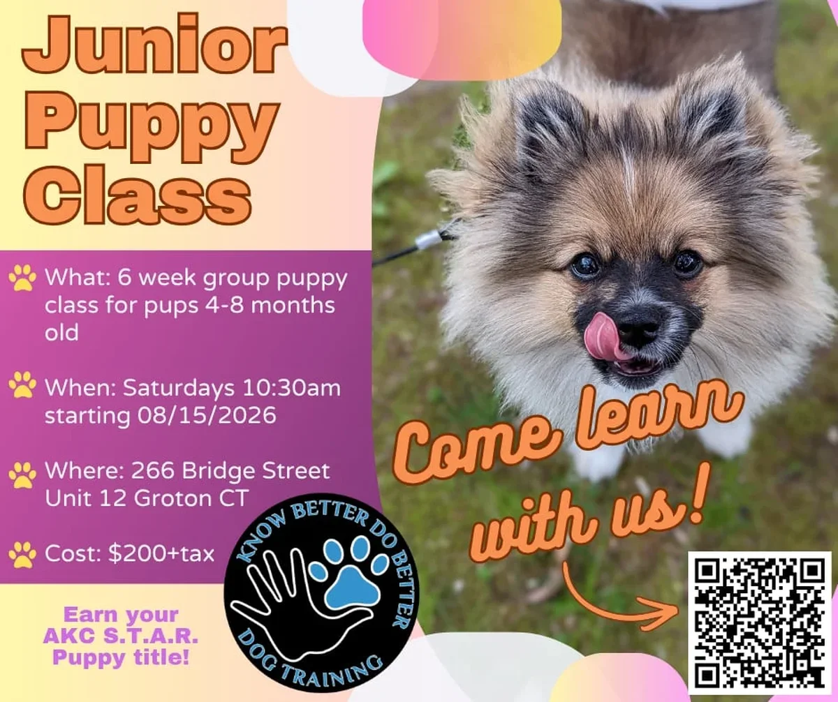 Junior Puppy Class Class Flyer