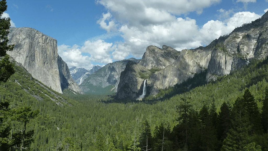 PFAS Affect the Environment and Wildlife