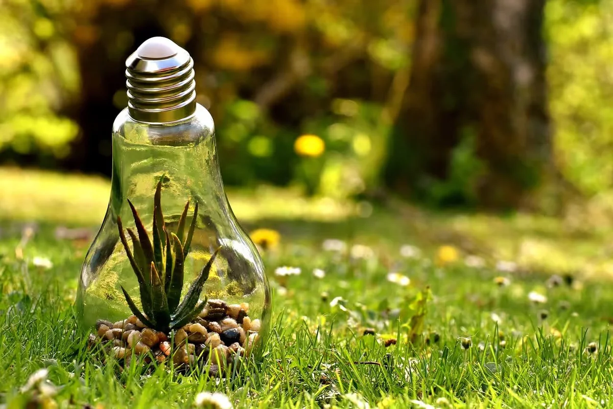 21 ESG Statistics Companies Should Be Paying Attention to in 2024 