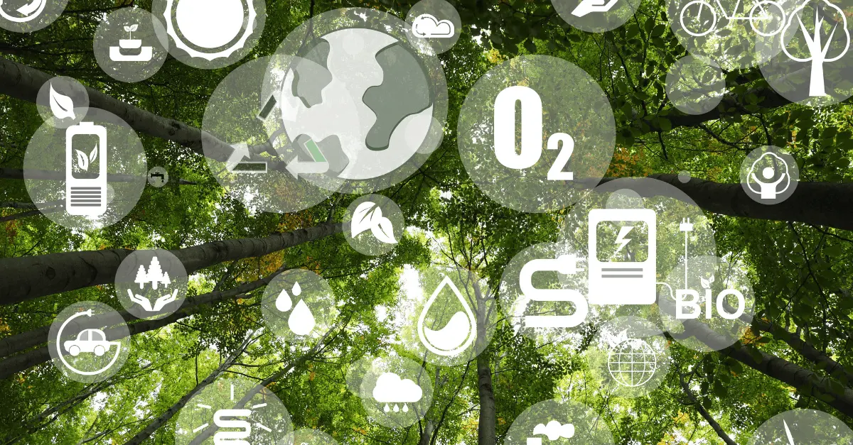 The Top 7 Supply Chain Platforms for Strengthening Sustainability and ESG Performance