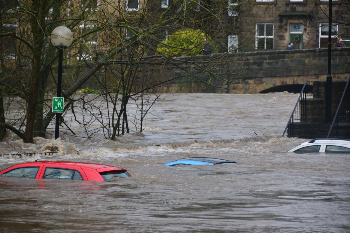 Yet Another Disruption: What to Do?
