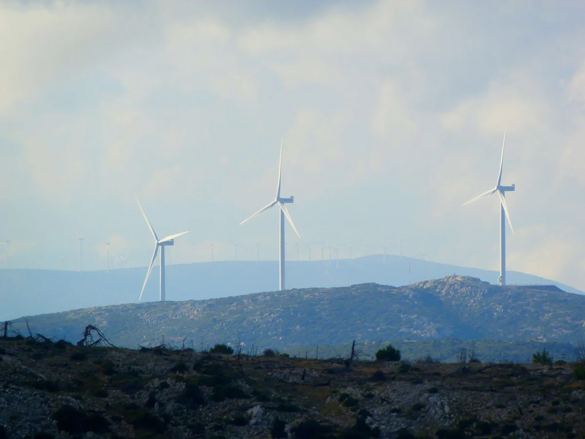 What is ESG and Its Importance