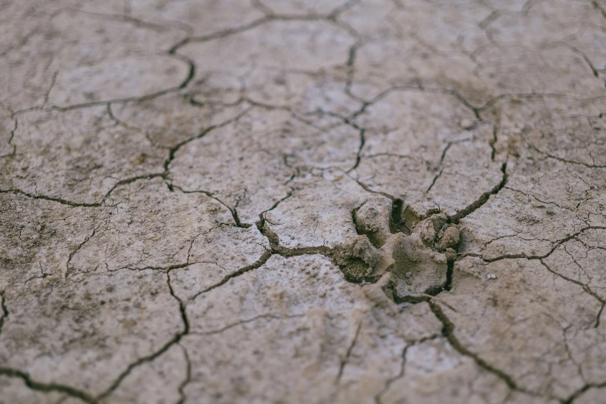 Is Taiwan Heading for Another Drought in Key Semiconductor Regions? 