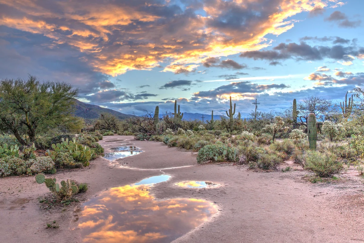 The Rise of the Silicon Desert: Is Arizona Our Semiconductor Savior?