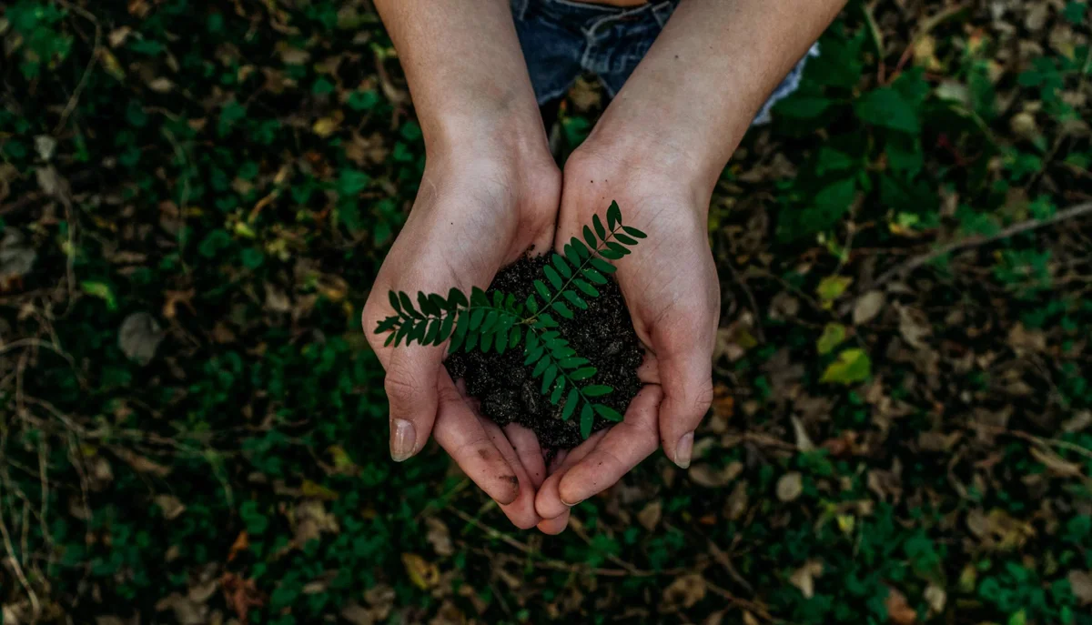 What Is ESG and Why Is It Important?