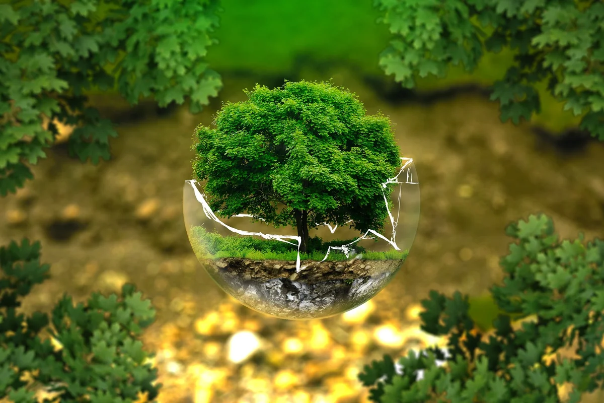 The Semiconductor Industry Push Towards Sustainability  