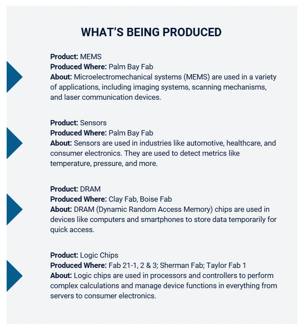 DRAM and Chips Infographic